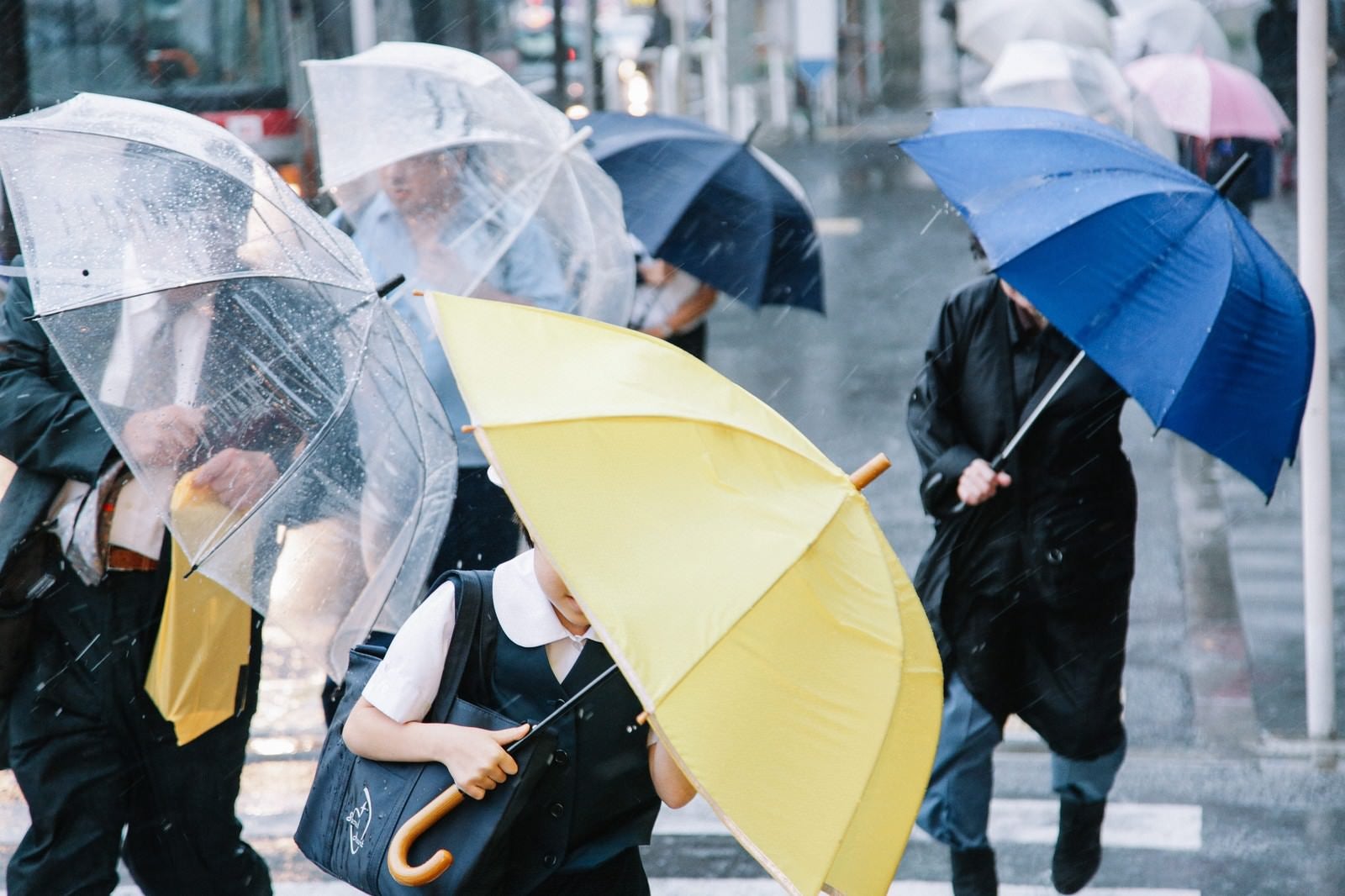「傘を斜めにするくらい横なぐりの雨」の写真