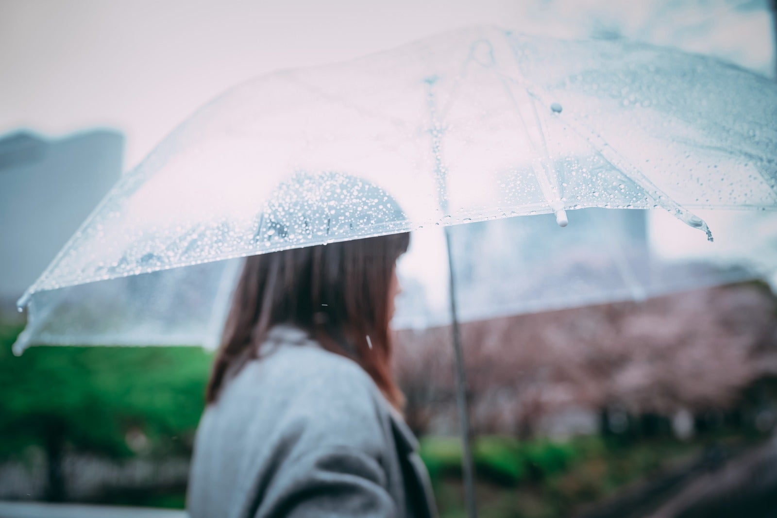 「ビニール傘に付く雨粒」の写真［モデル：たけべともこ］