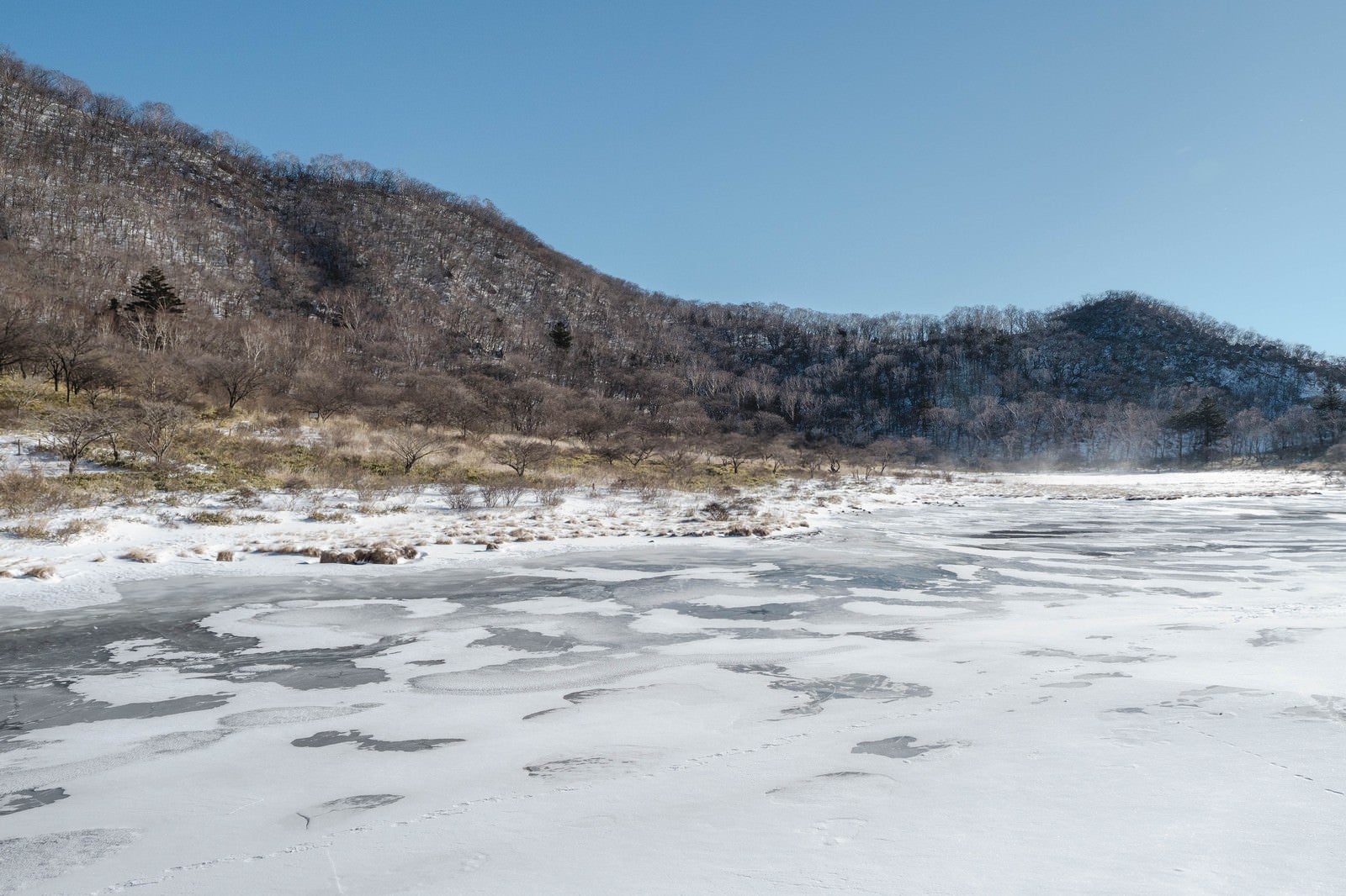 「赤城山覚満淵（かくまんぶち）の凍った湿原」の写真