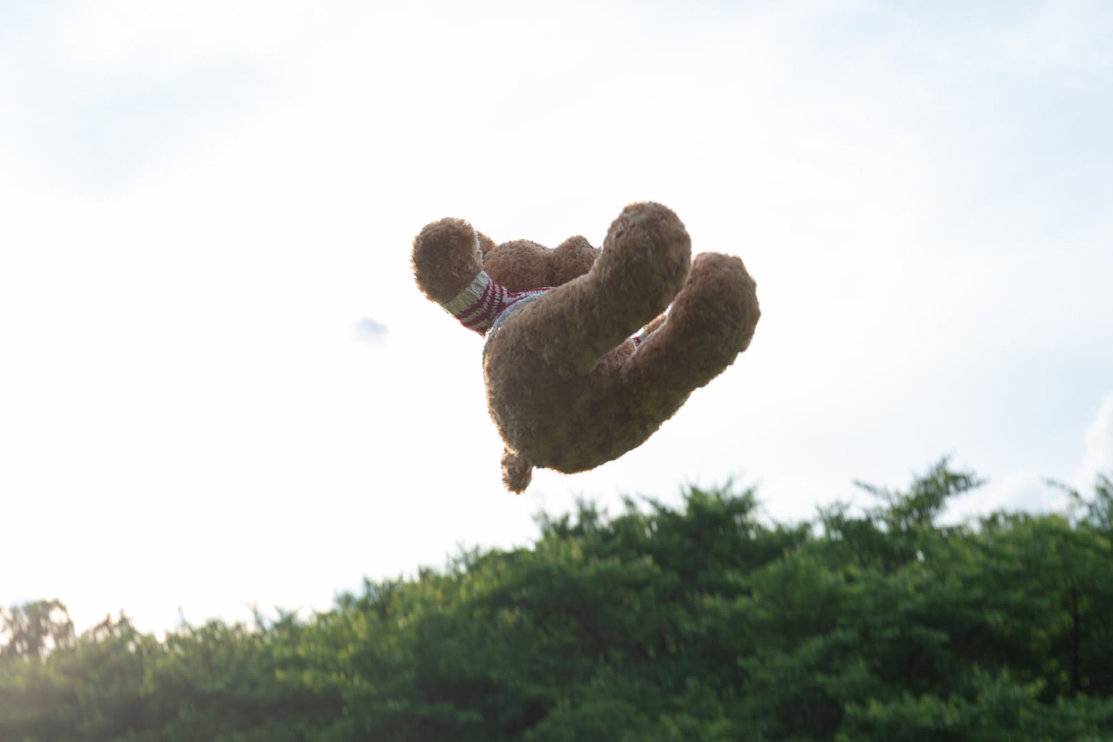 「ヒャッホー（空を飛ぶくまのぬいぐるみ）」の写真