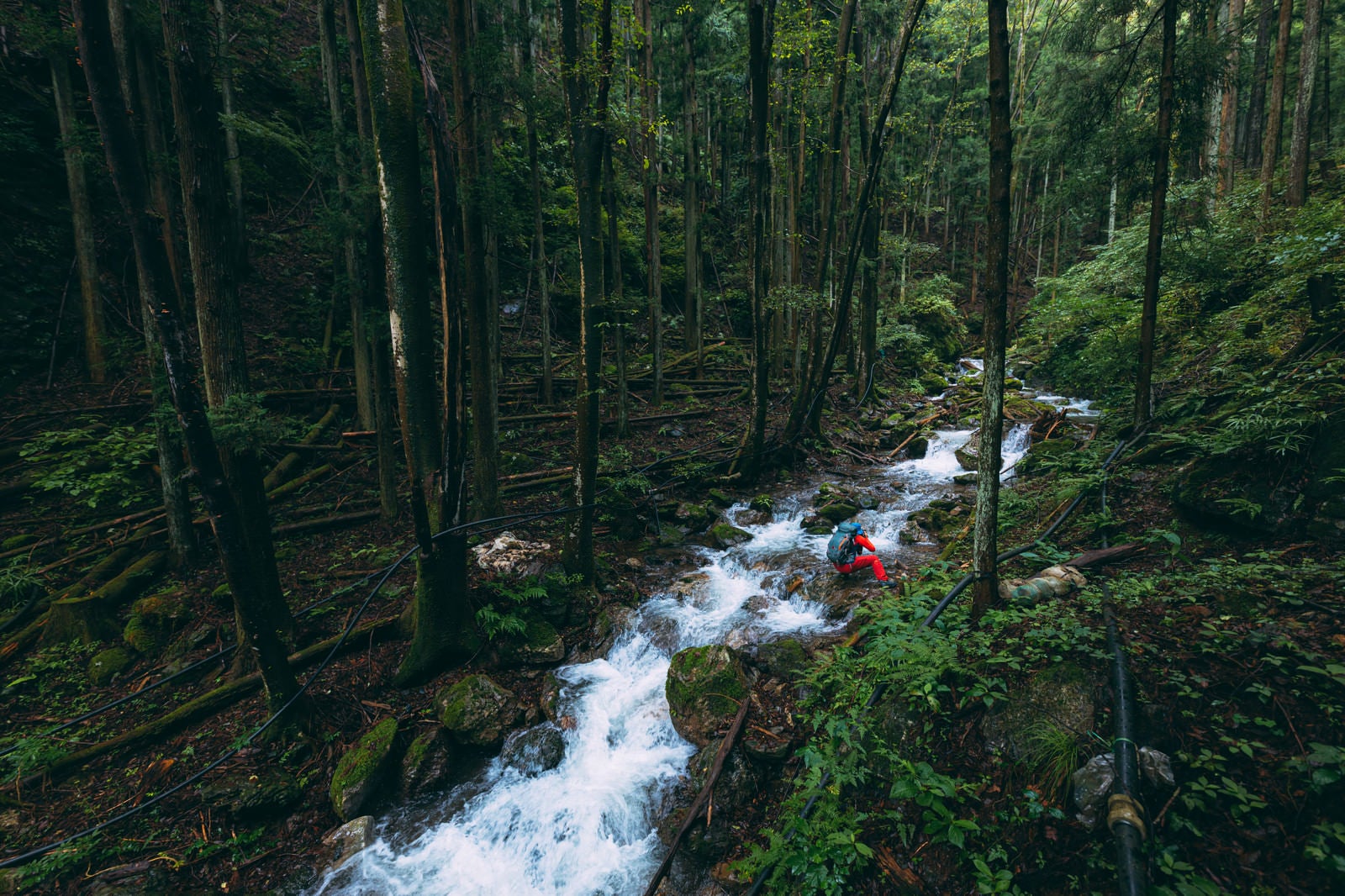 「豪雨の後の渓流を撮影するカメラマンと倒木の数々 | フリー素材のぱくたそ」の写真