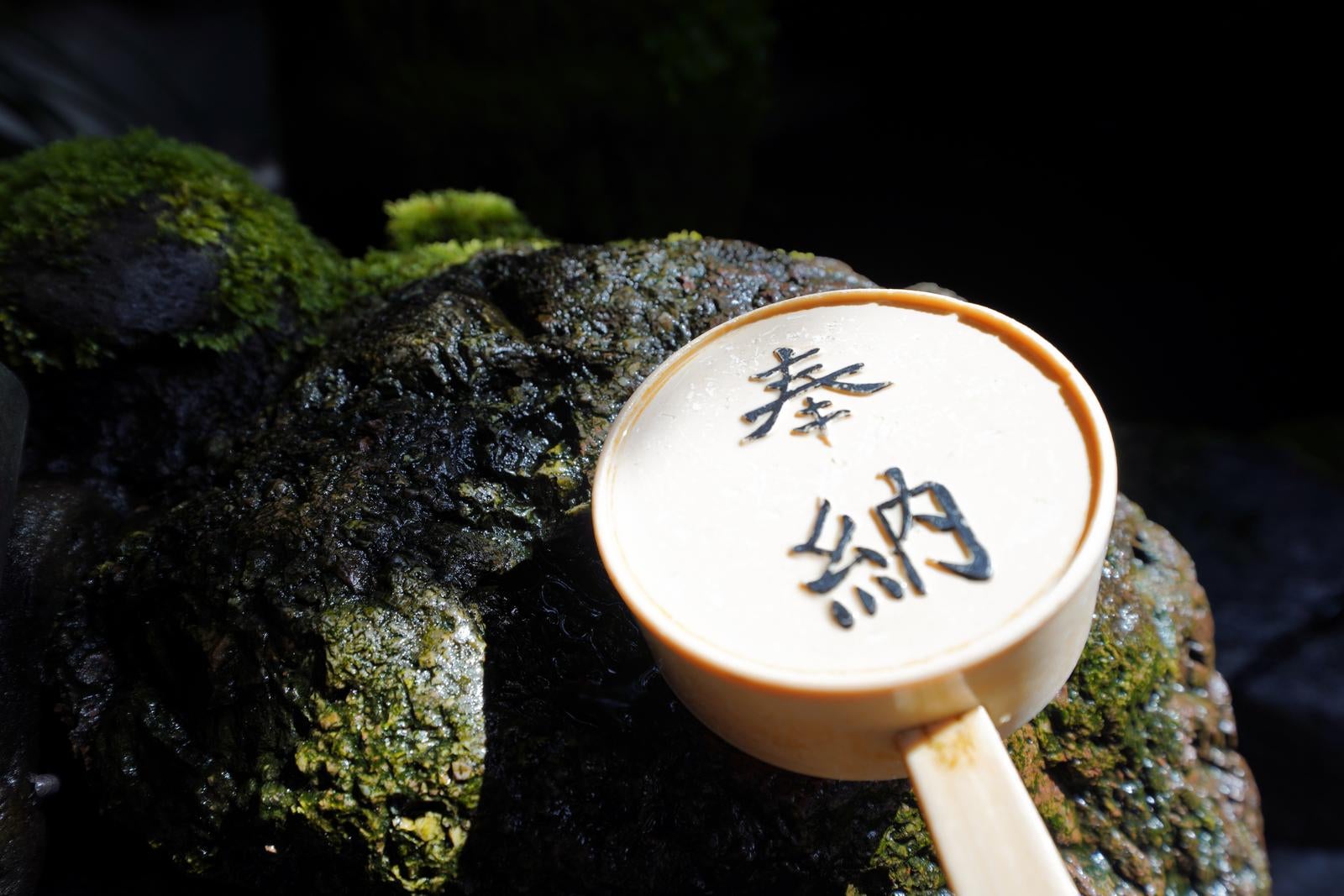 「奉納柄杓と苔むす岩の静寂」の写真