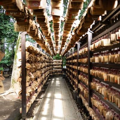 天井にはわせた緑の植物が特徴の氷川神社の絵馬掛け通路の写真