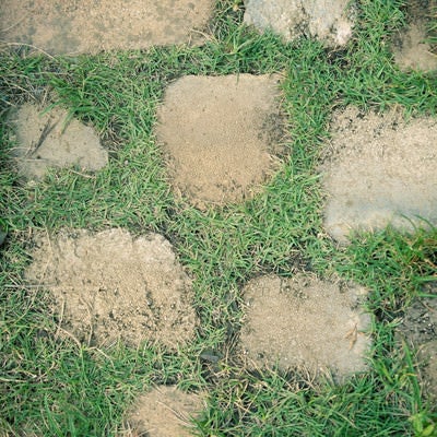 芝の上に置かれた不揃いな石畳（テクスチャー）の写真