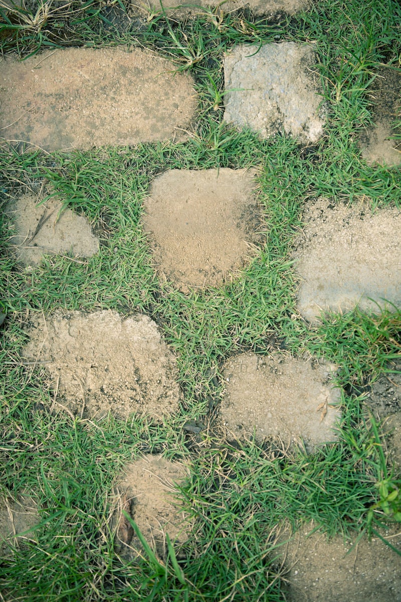 「芝の上に置かれた不揃いな石畳（テクスチャー）」の写真