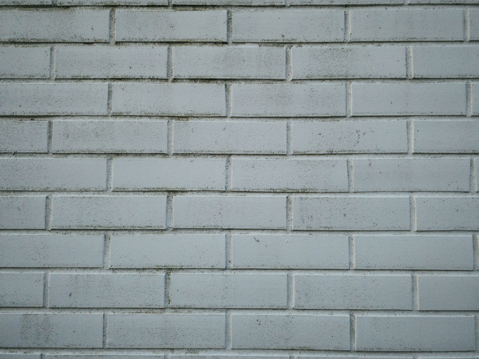 「一色に塗られた煉瓦の壁（テクスチャー）」の写真
