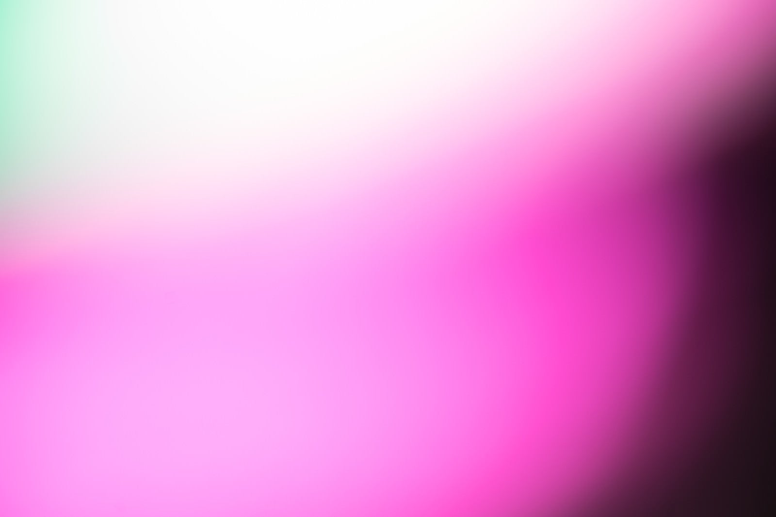「怪しいピンクパープルの光」の写真