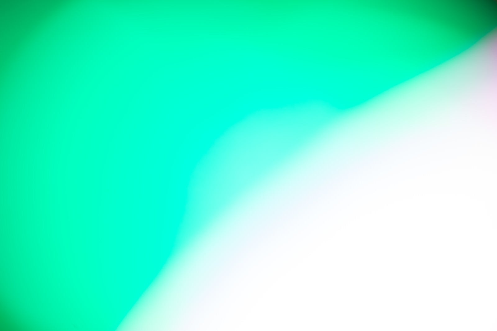 「ボケた緑の光」の写真