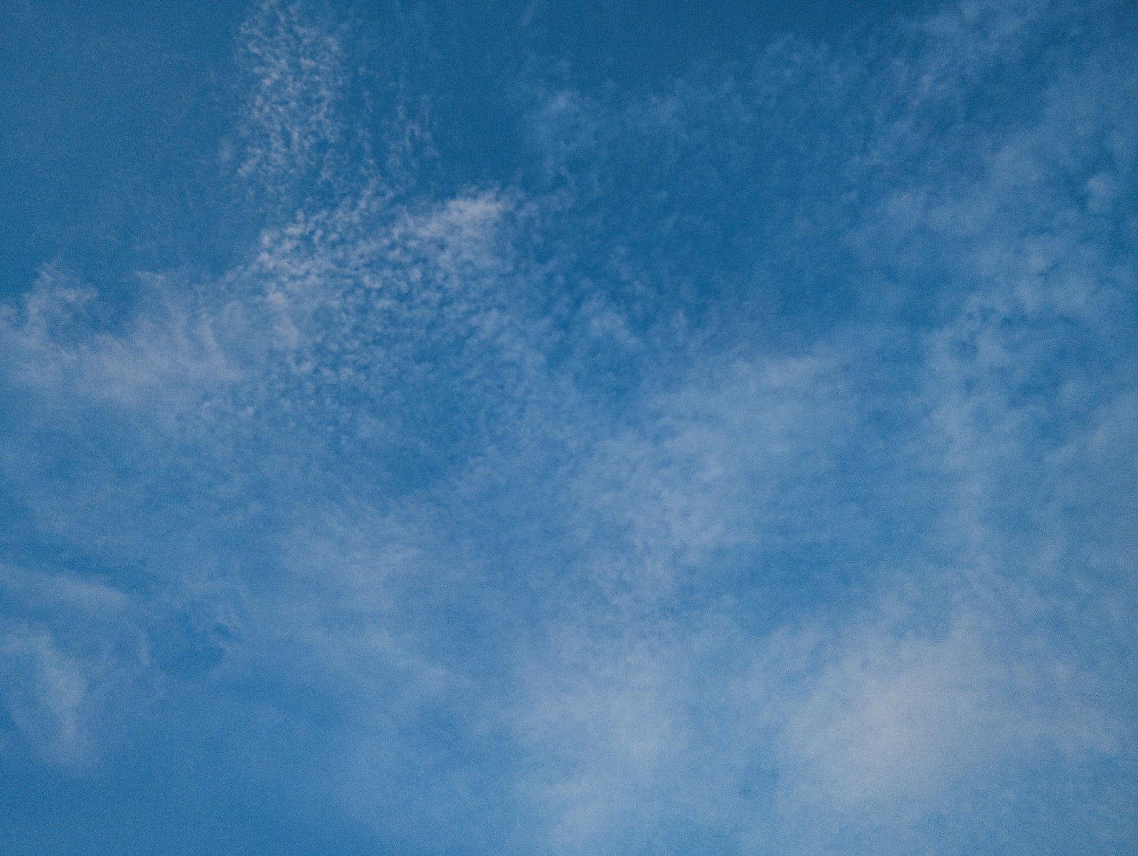 「見上げた空を覆う薄い雲（テクスチャー）」の写真