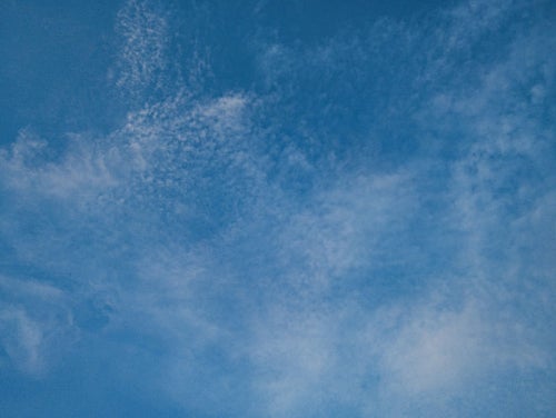 見上げた空を覆う薄い雲（テクスチャー）の写真