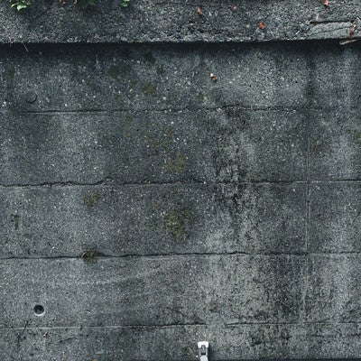 斑点のようなシミのある擁壁（テクスチャ）の写真