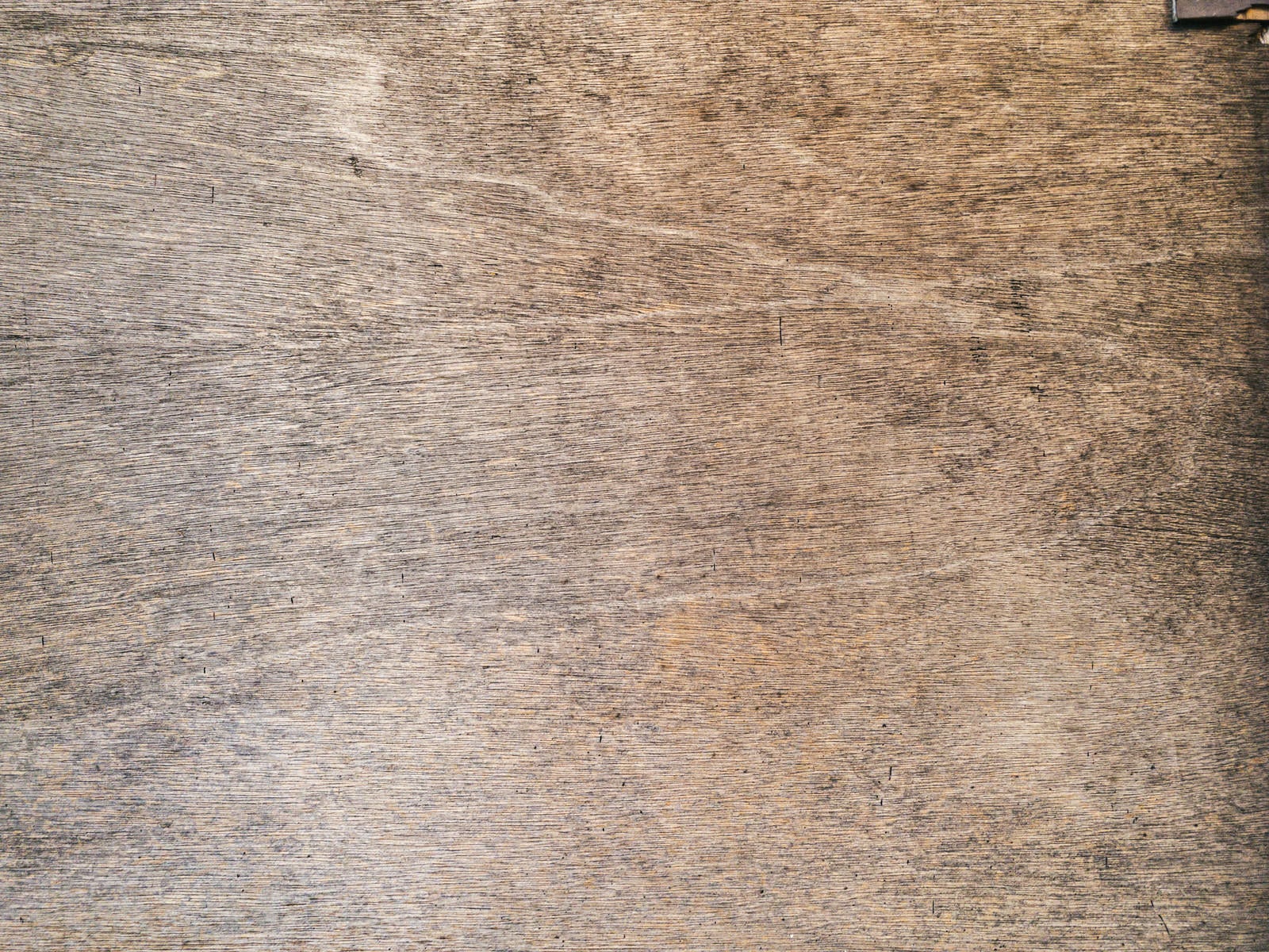 「黒シミ残るベニヤ板」の写真