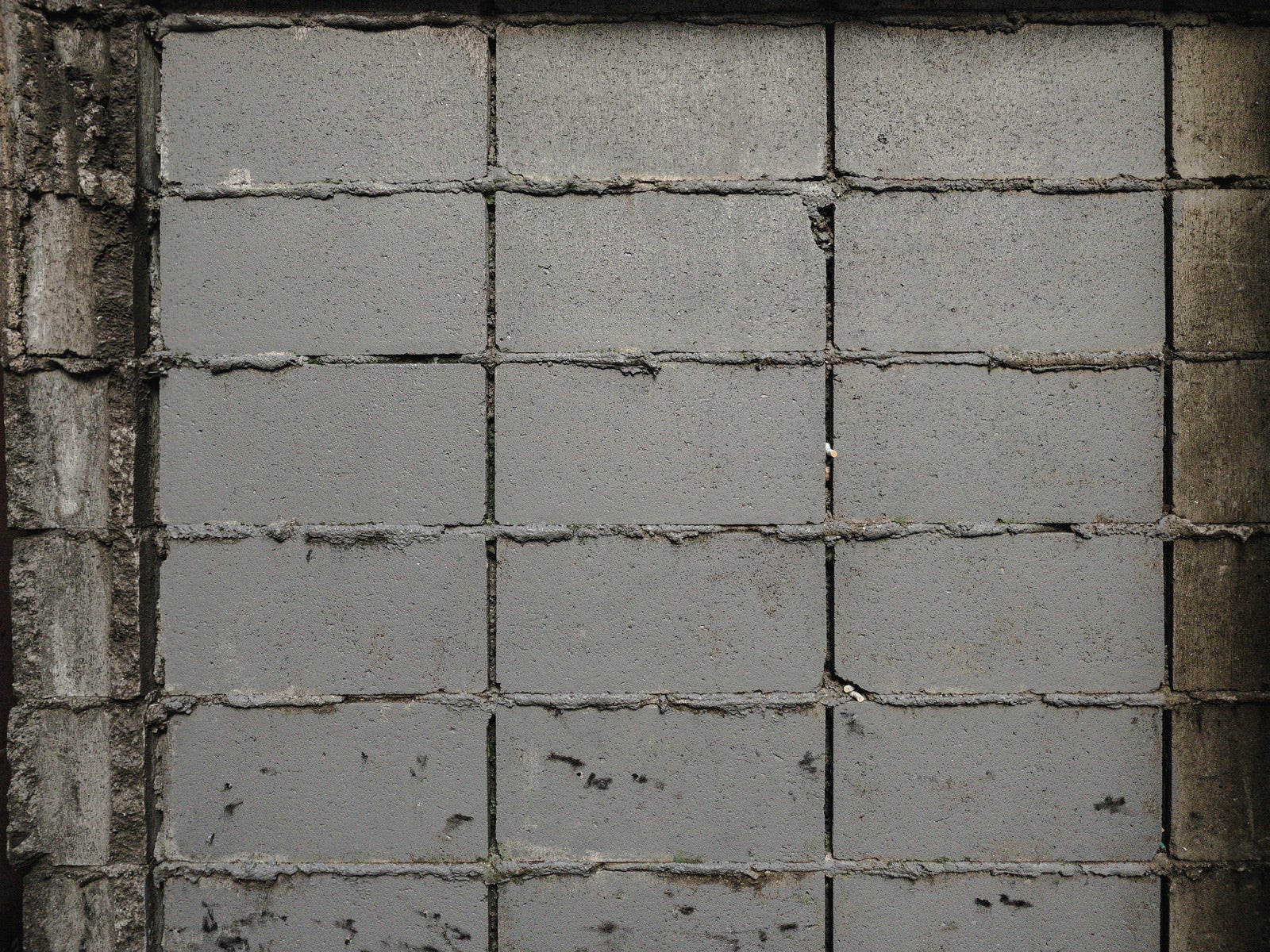 「積まれたばかりのコンクリートブロック塀（テクスチャー）」の写真