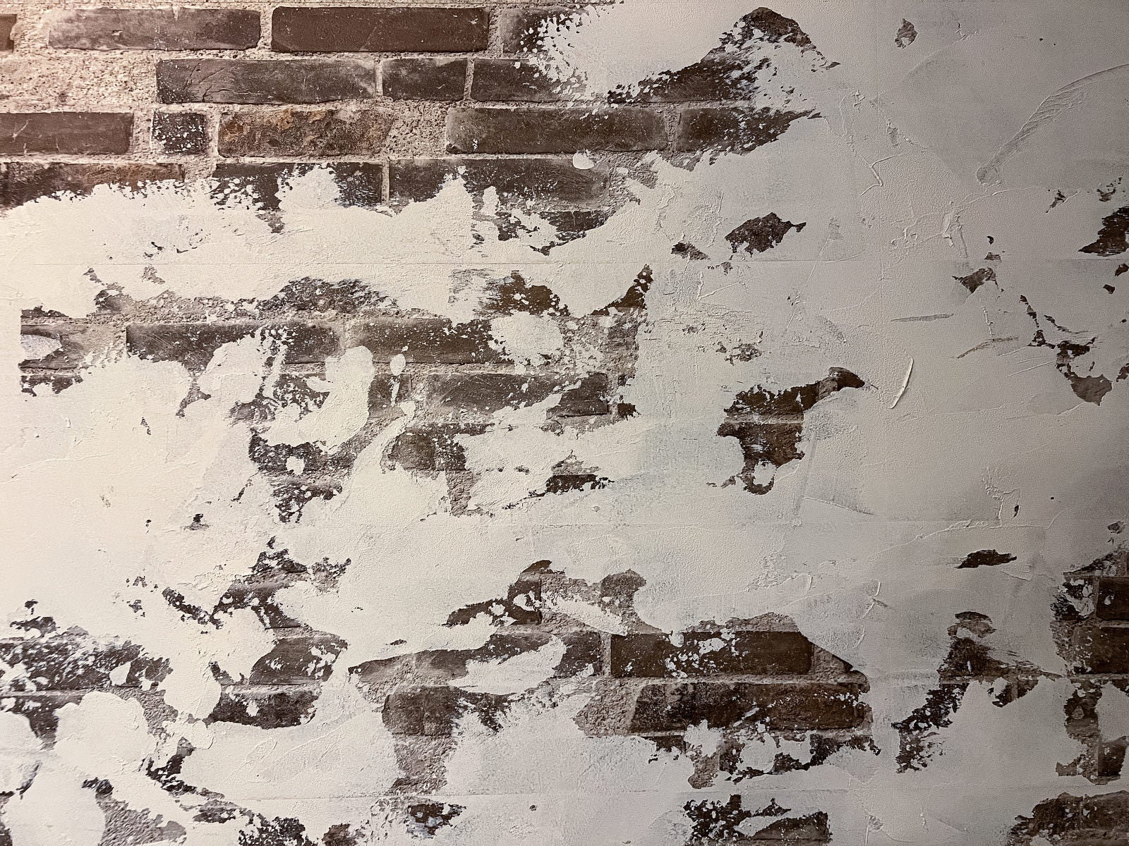 「塗装まみれの外壁（テクスチャー）」の写真