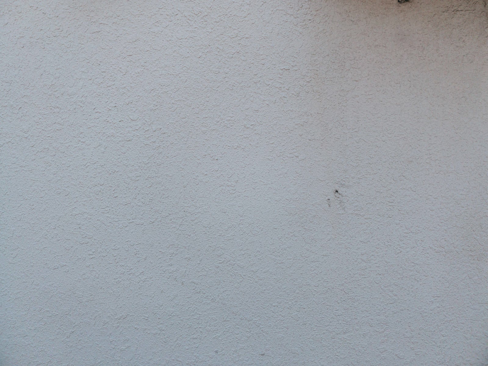 「モルタル仕上げの外壁のテクスチャー」の写真