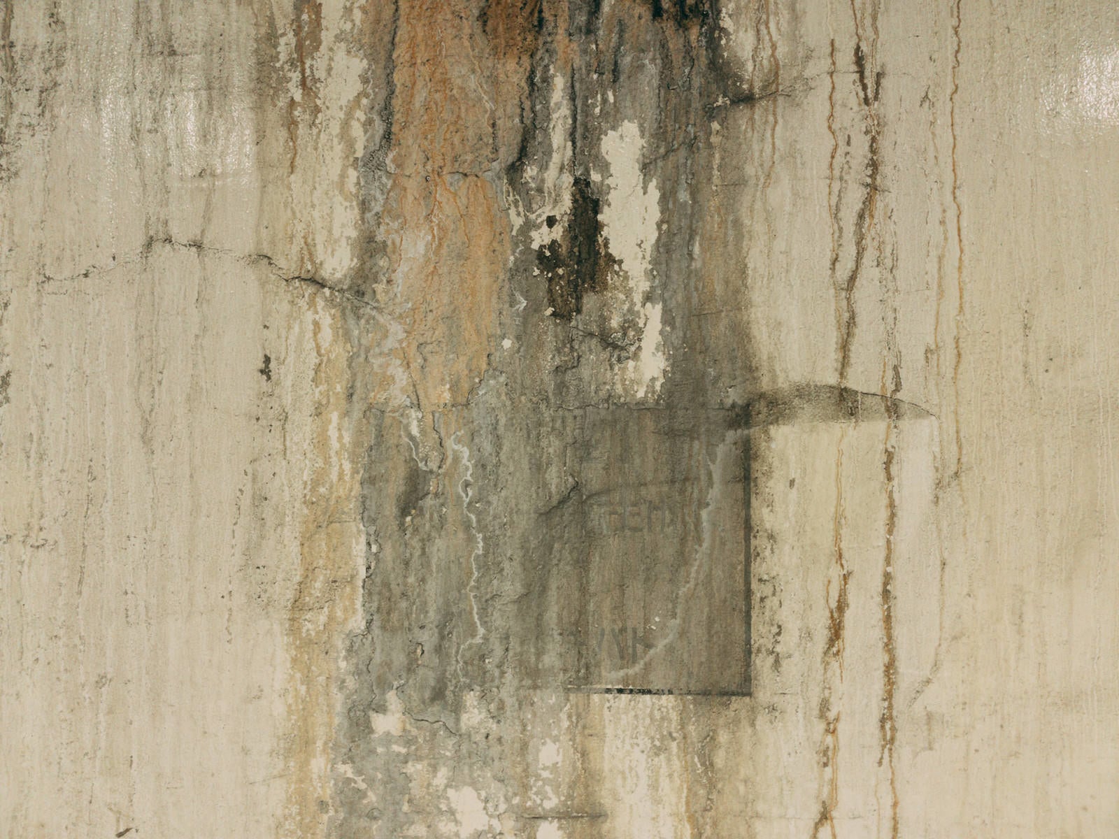 「コンクリート剝き出しの劣化した壁（テクスチャ）」の写真