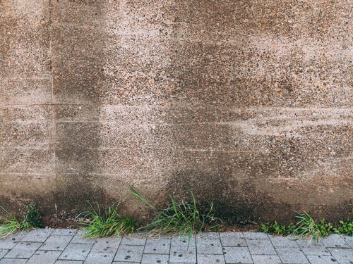 コンクリート壁と雑草（テクスチャ）の写真