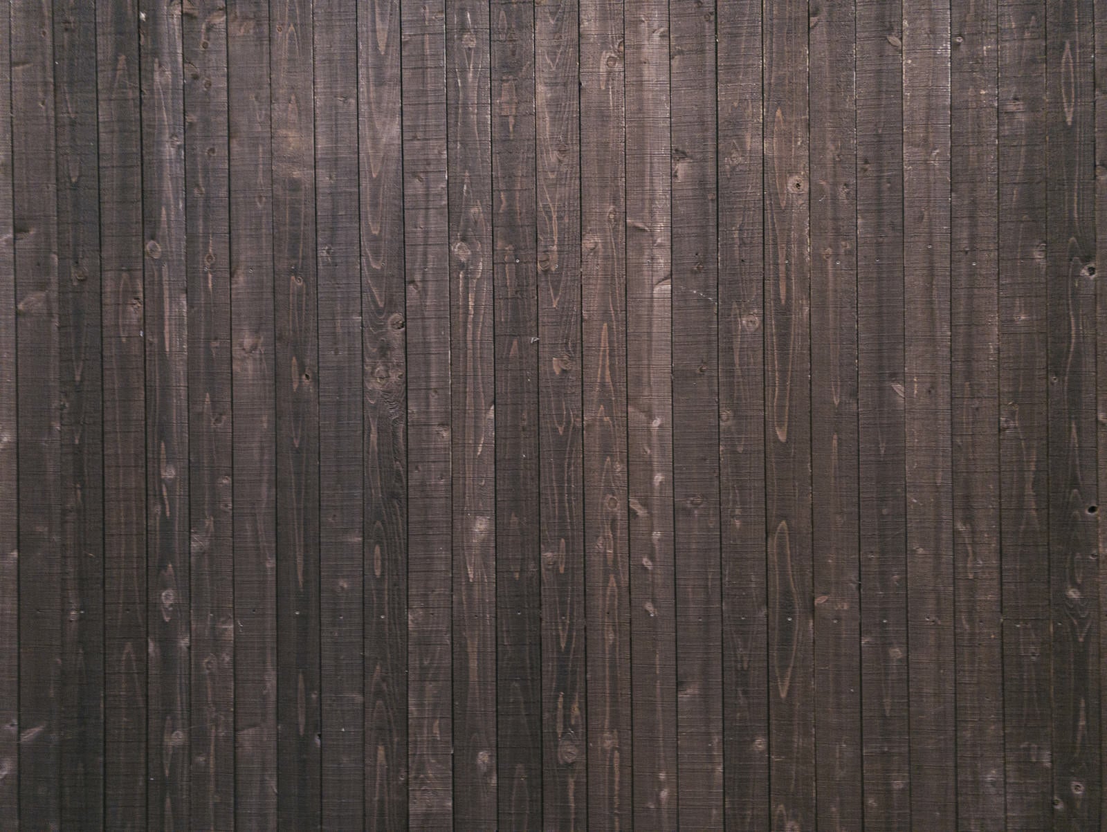 「木造の壁」の写真