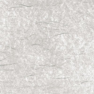 浮かび上がる繊維模様の和紙（テクスチャー）の写真