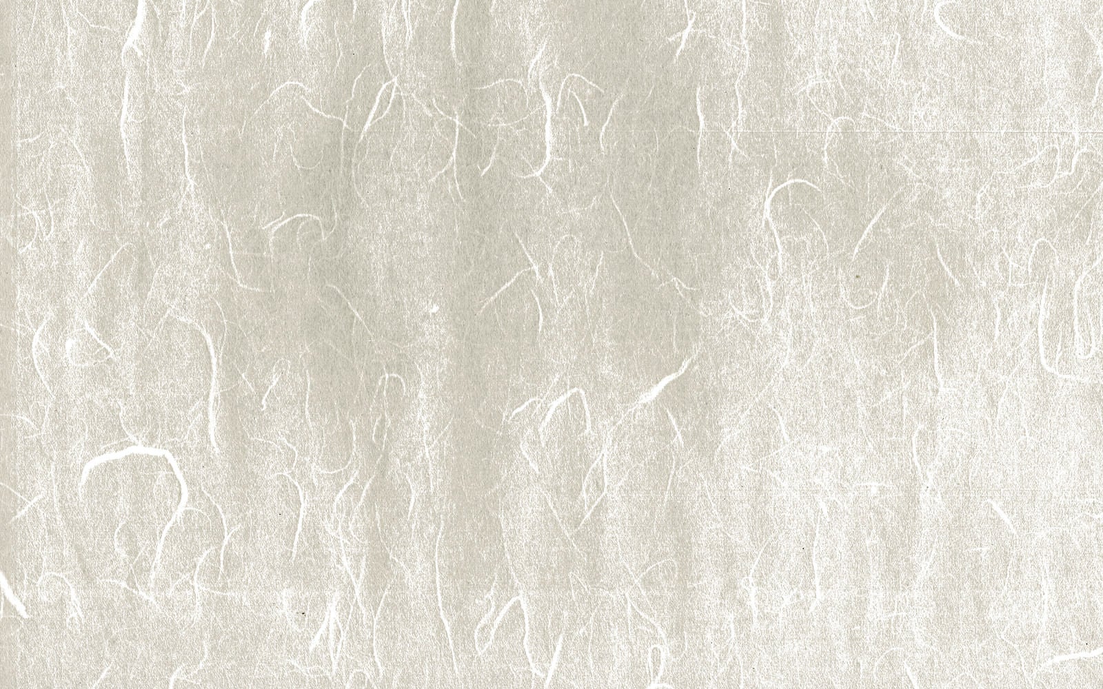 「繊維の跡が一面に散らばる和紙（テクスチャー）」の写真