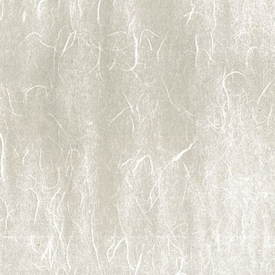 繊維の跡が一面に散らばる和紙（テクスチャー）の写真