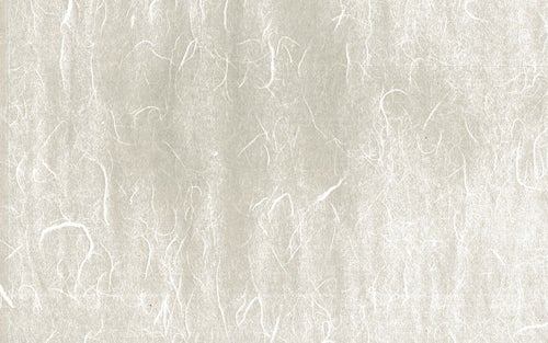 繊維の跡が一面に散らばる和紙（テクスチャー）の写真