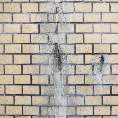 雨水で腐食したタイル壁の写真