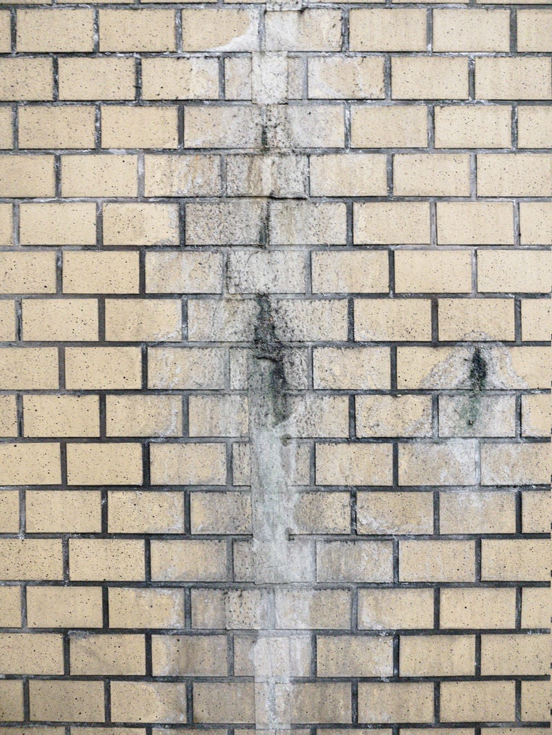 「雨水で腐食したタイル壁」の写真