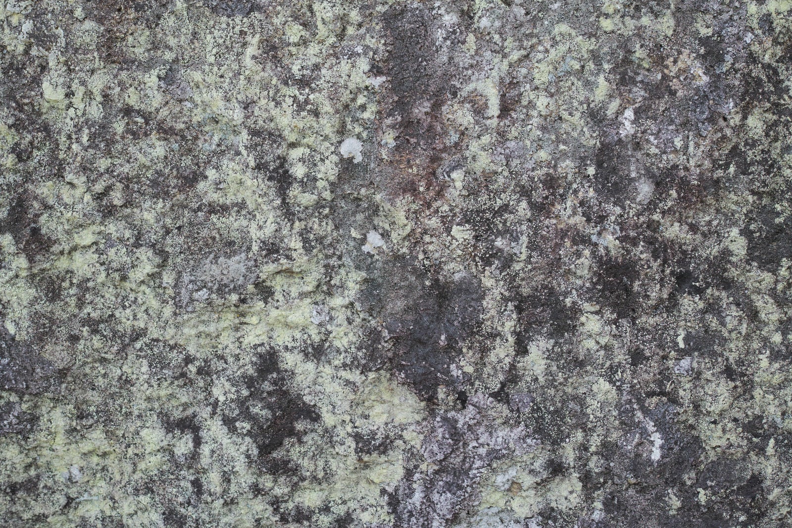 「長年の汚れが染み付く岩（テクスチャー）」の写真