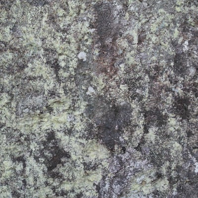 長年の汚れが染み付く岩（テクスチャー）の写真