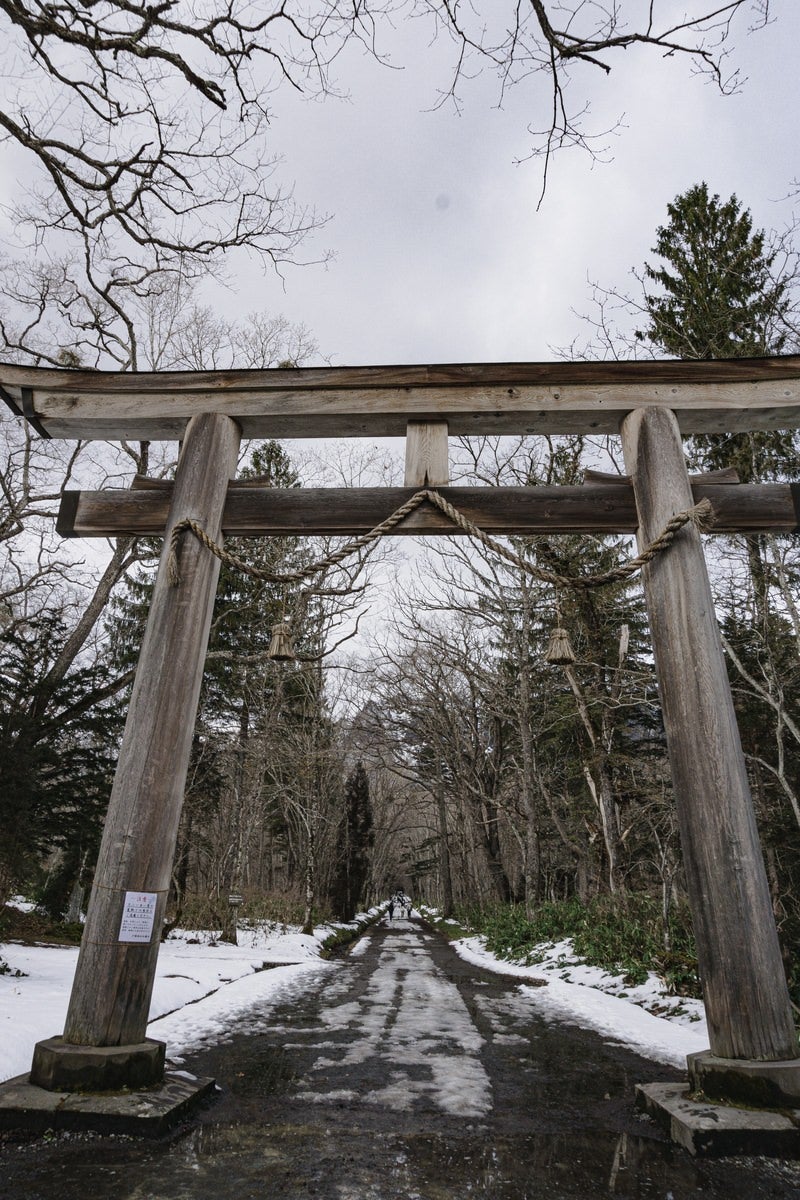 「戸隠神社奥社入り口の大鳥居と雪が残るまっすぐに伸びる参道」の写真