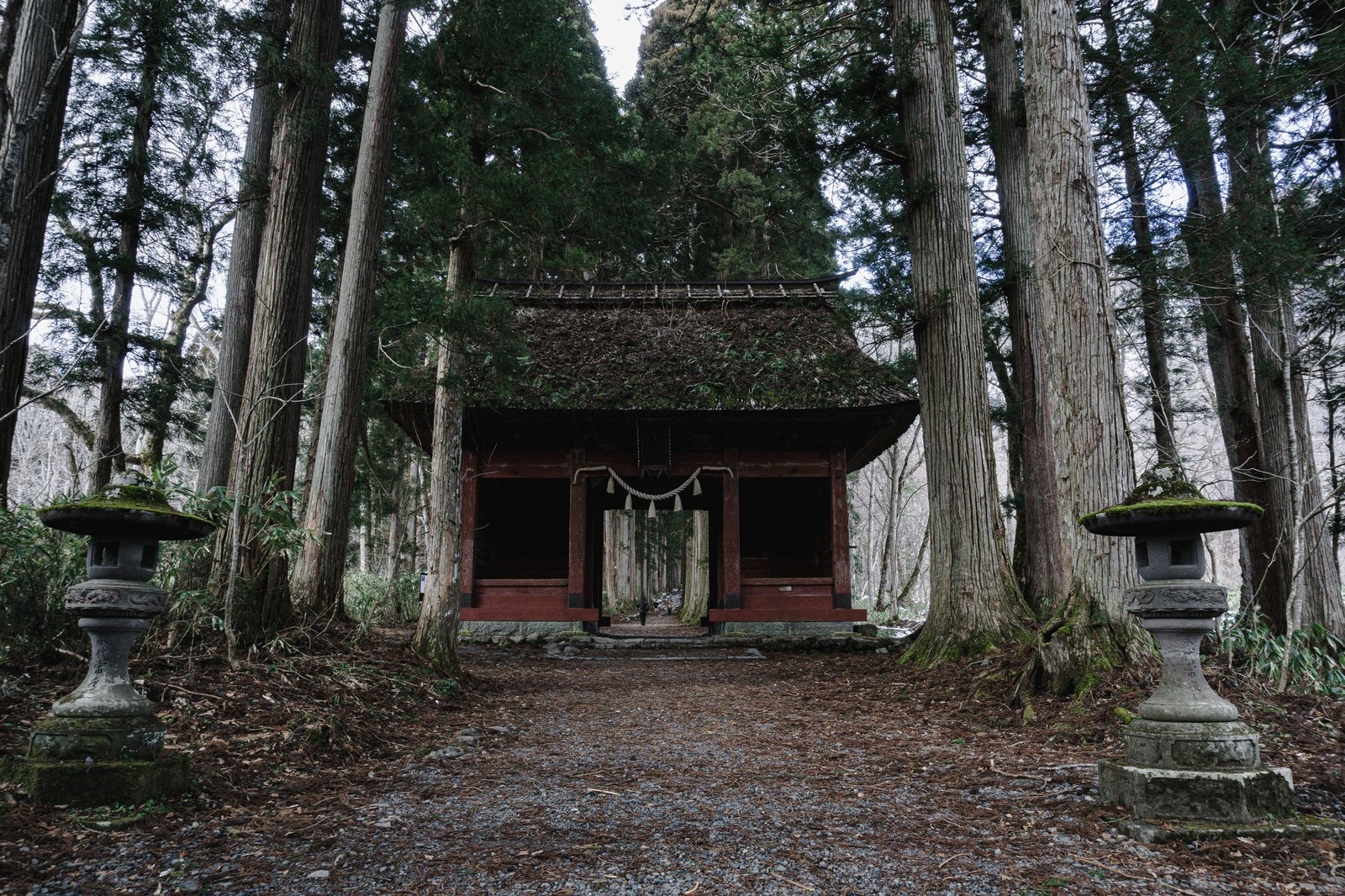 「屋根の草も枯れた初冬の随神門と石灯籠」の写真