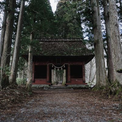 屋根の草も枯れた初冬の随神門と石灯籠の写真