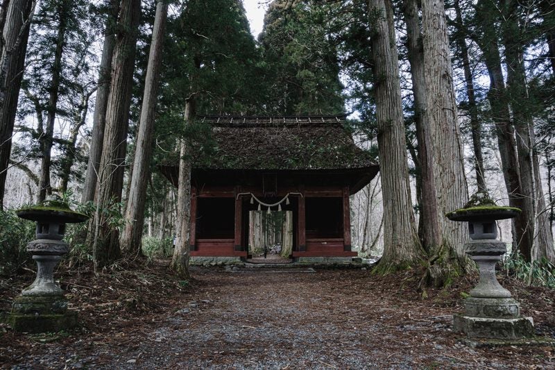 屋根の草も枯れた初冬の随神門と石灯籠の写真