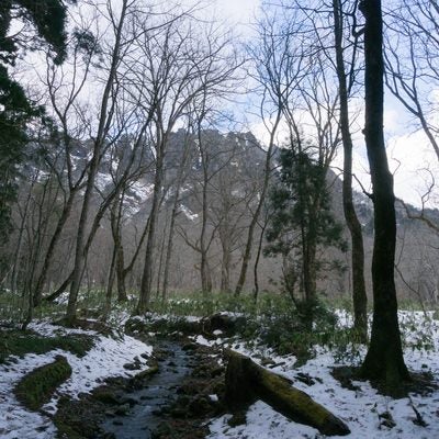 周囲に雪の残る逆さ川と立ち並ぶ木々の向こうに見える戸隠山の写真