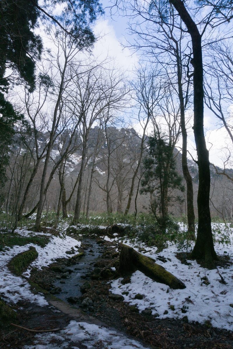 「周囲に雪の残る逆さ川と立ち並ぶ木々の向こうに見える戸隠山」の写真