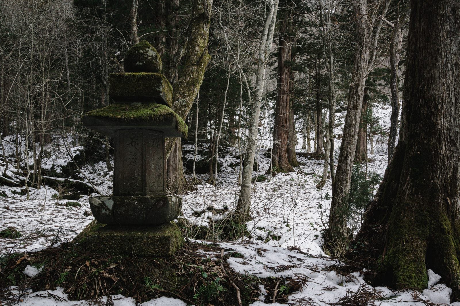 「杉並木脇に建つ法華多宝塔」の写真