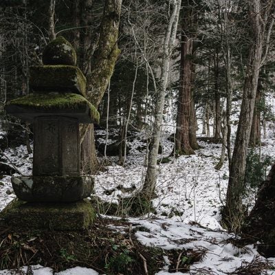 杉並木脇に建つ法華多宝塔の写真