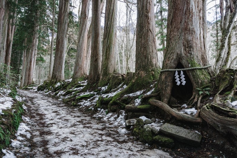 雪が残る奥社杉並木の杉の祠辺りの様子の写真