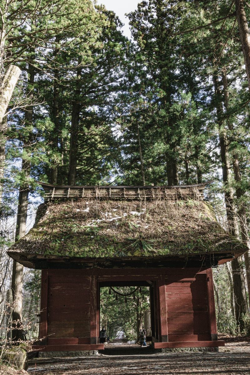 Cedar Tree-lined Path and Zuishin Gate Viewed from the Inner Shrine Side