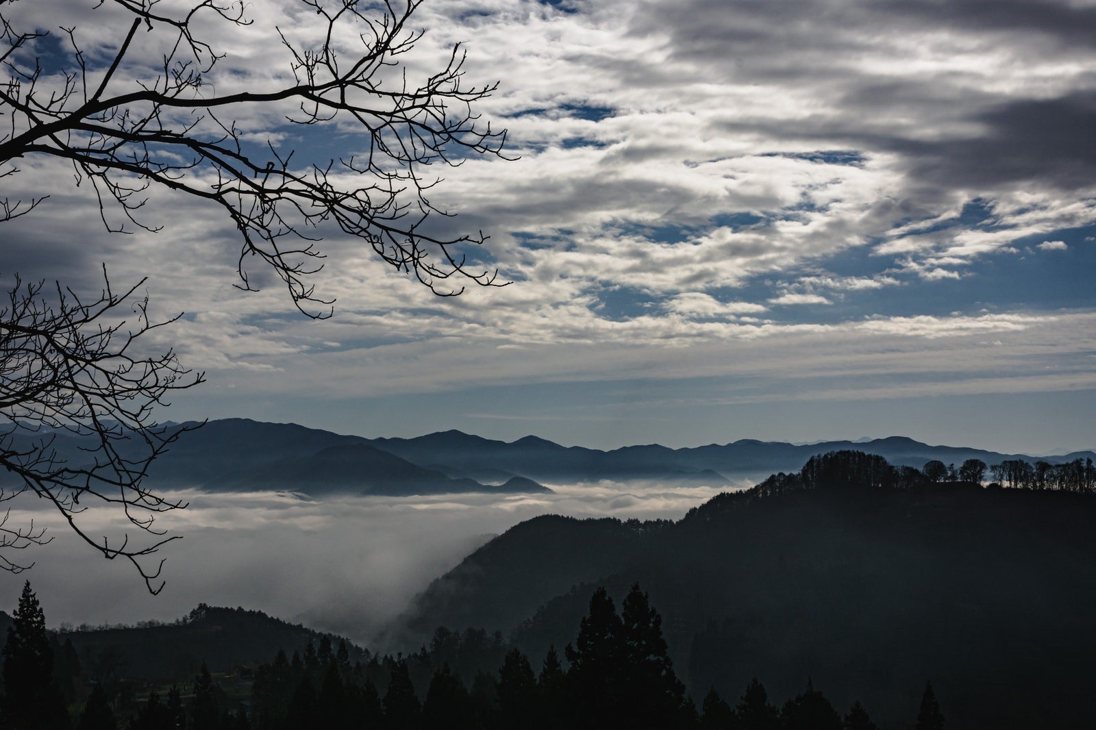 「雲海に沈む長野市辺りと右手に見える葛山城（かつらやまじょう）跡」の写真