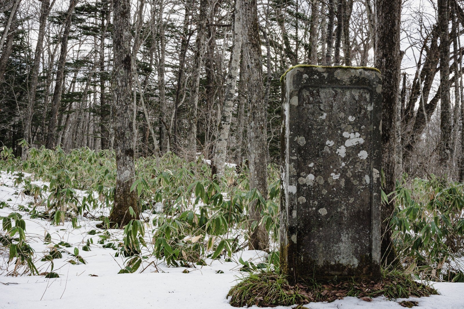 「雪の残る戸隠神社奥社参道脇に建つ高妻山神鏡碑」の写真