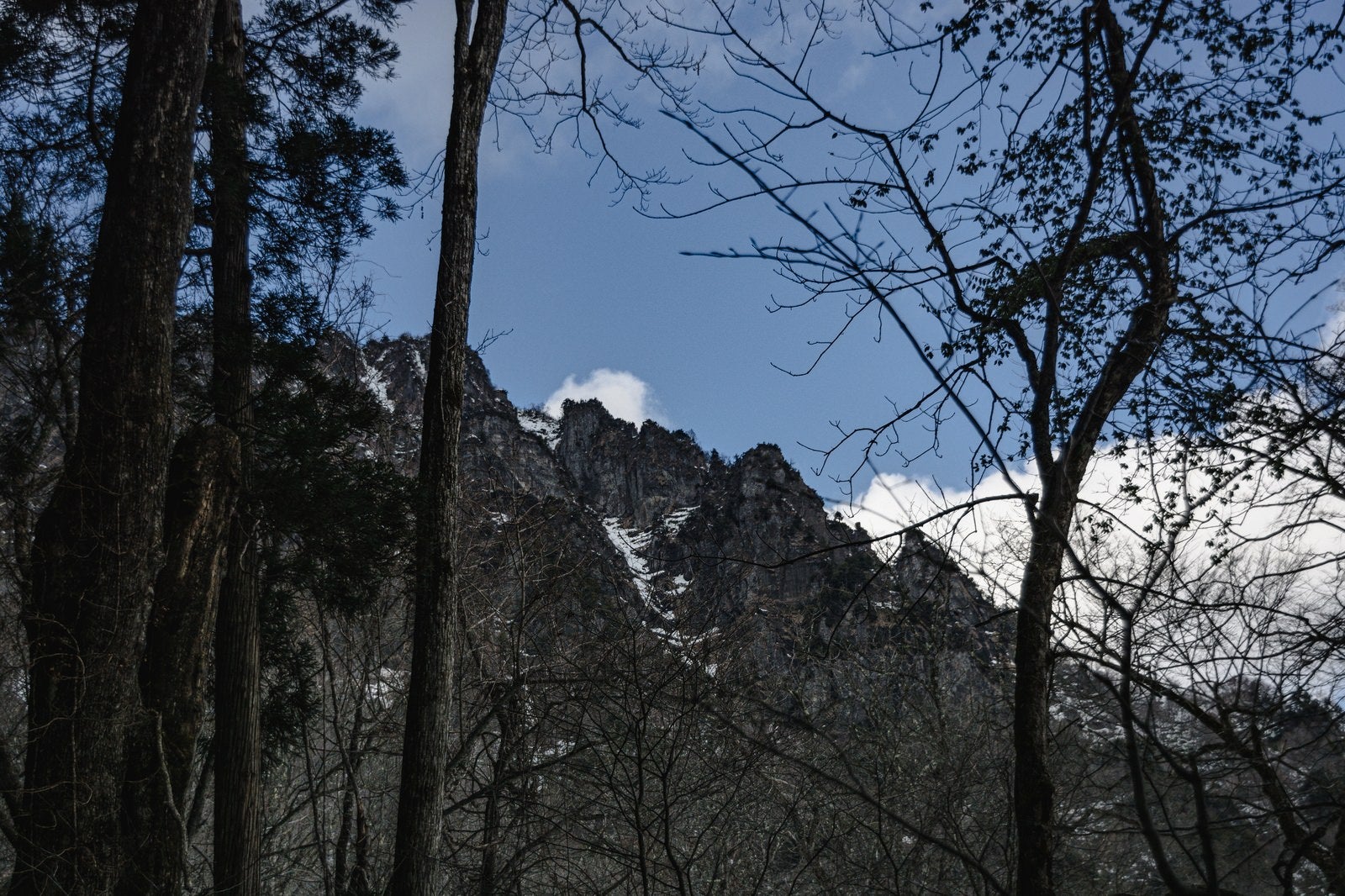 「木々の合間に見える雪を残す戸隠山の姿」の写真