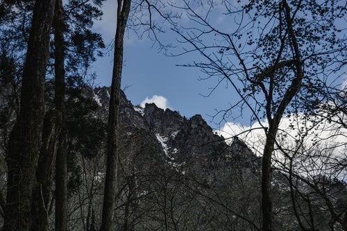 木々の合間に見える雪を残す戸隠山の姿の写真