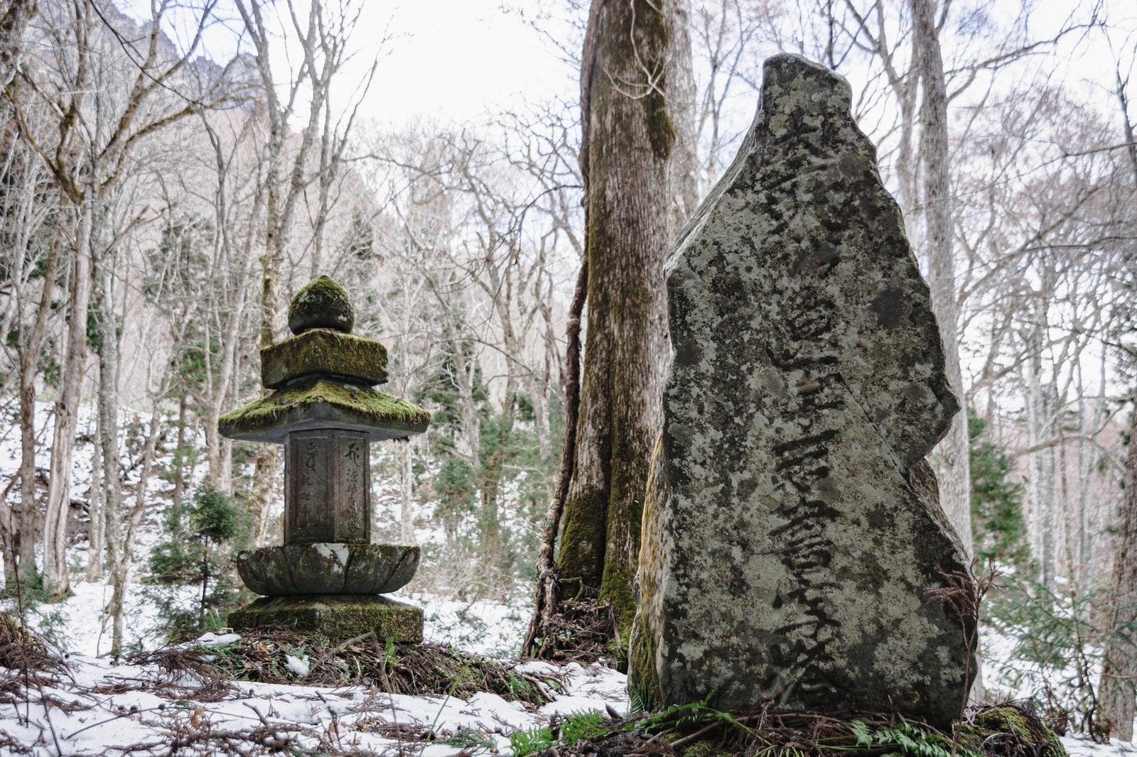 「杉並木の脇に建つ大乗妙典一字一石書写碑と法華多宝塔」の写真