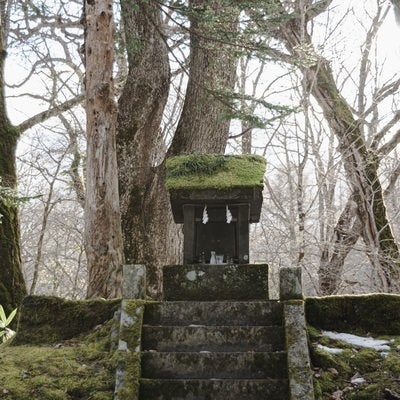 背後から射す日の光にかすむ一龕龍王祠(いっかんりゅうおうし)の写真