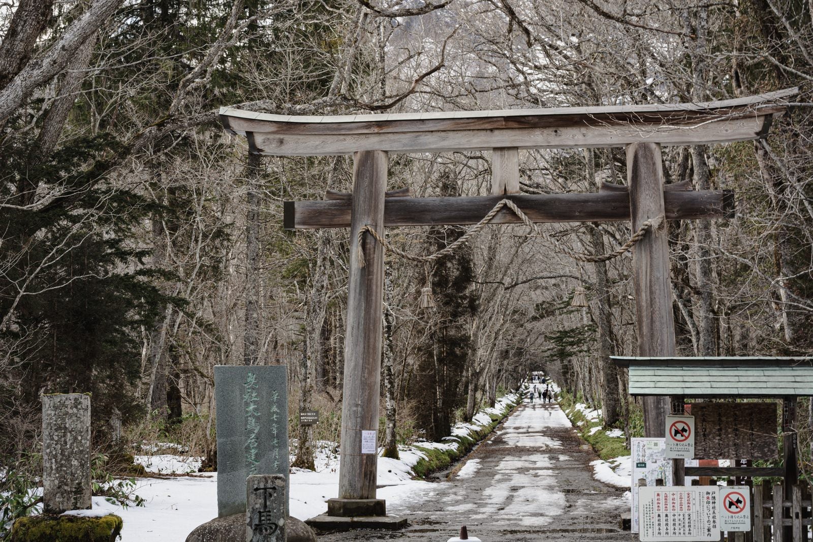 「初冬の雪が残る戸隠神社奥社入り口の大鳥居付近」の写真