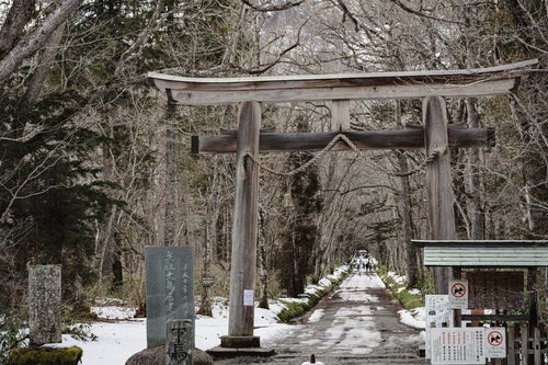 初冬の雪が残る戸隠神社奥社入り口の大鳥居付近の写真
