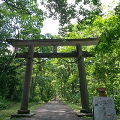 戸隠神社大鳥居と案内図の写真