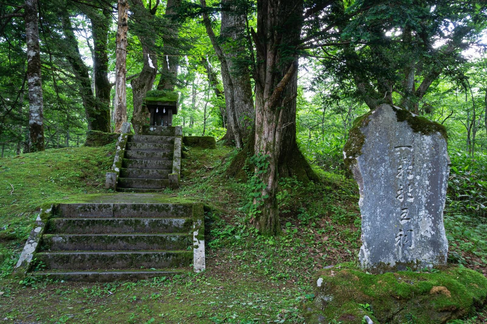 「奥社大鳥居をくぐってすぐにある一龕龍王祠（いっかんりゅうおうし）と刻まれた石碑と祠」の写真